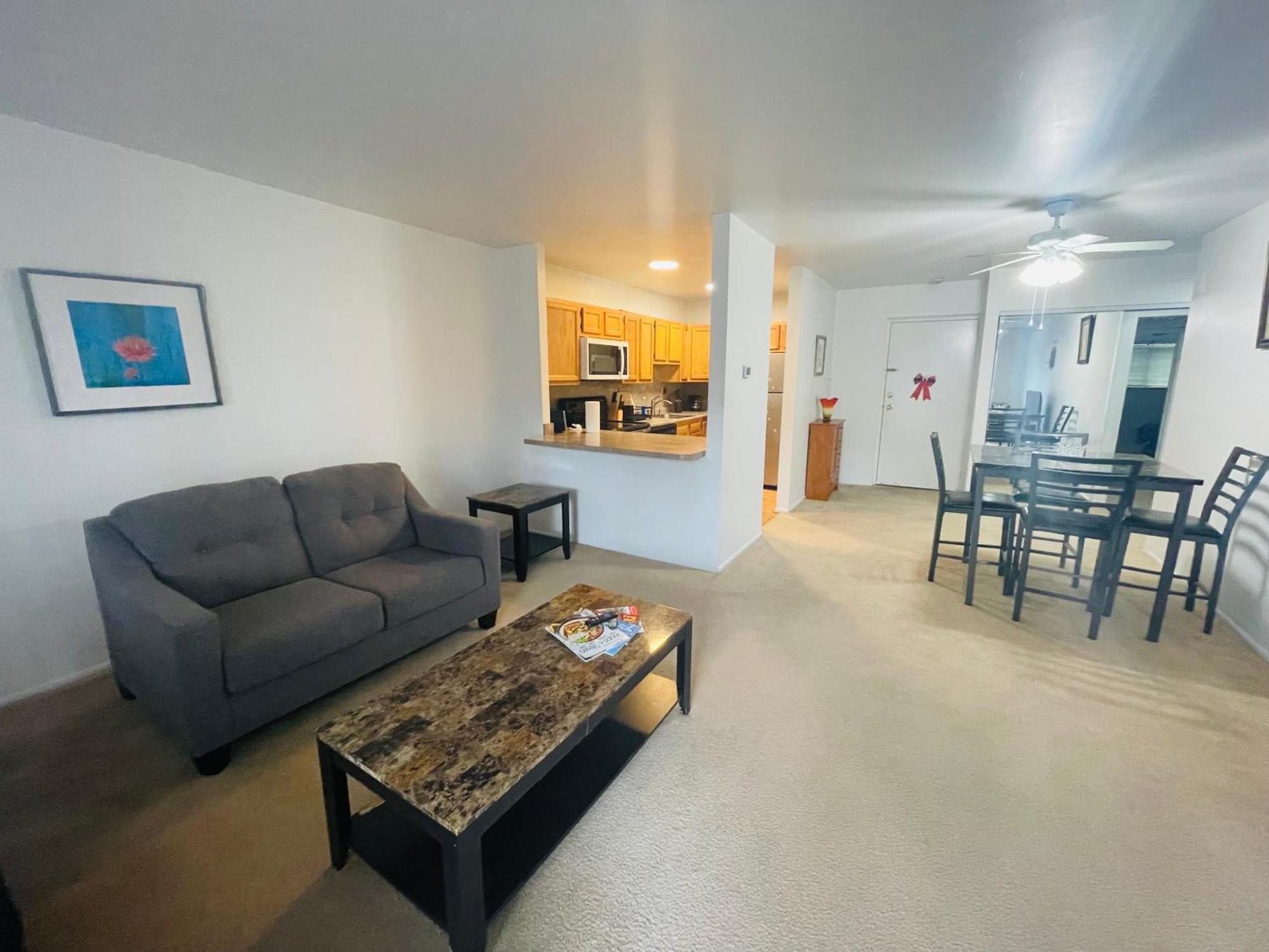 Elkins Park Large, Clean, Comfortable, 1Br Near Einstein Hos מראה חיצוני תמונה